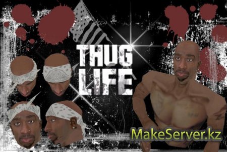 2 Pac Thug Life