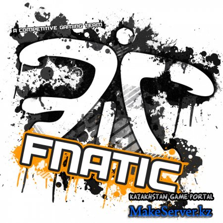    fnatic(fnatic.cfg)2010: - 