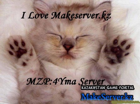 MZP:4yMa Server